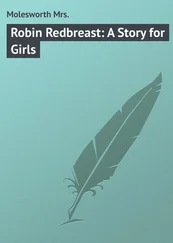 Mrs. Molesworth - Robin Redbreast - A Story for Girls