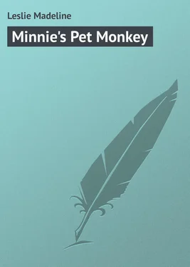 Madeline Leslie Minnie's Pet Monkey обложка книги
