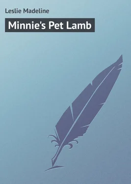 Madeline Leslie Minnie's Pet Lamb обложка книги