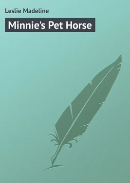 Madeline Leslie Minnie's Pet Horse обложка книги