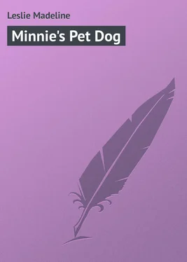 Madeline Leslie Minnie's Pet Dog обложка книги