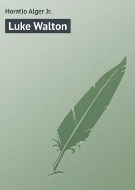 Horatio Alger Luke Walton обложка книги