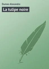 Alexandre Dumas - La tulipe noire