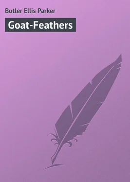 Ellis Butler Goat-Feathers обложка книги