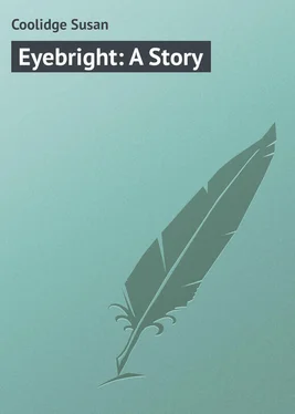 Susan Coolidge Eyebright: A Story обложка книги