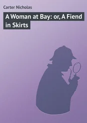 Nicholas Carter - A Woman at Bay - or, A Fiend in Skirts