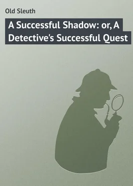 Sleuth Old A Successful Shadow: or, A Detective's Successful Quest обложка книги
