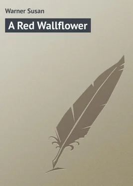 Susan Warner A Red Wallflower обложка книги