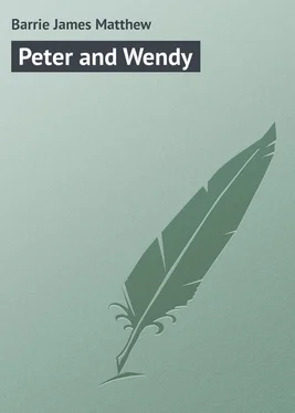 James Barrie Peter and Wendy обложка книги
