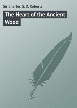Charles Roberts The Heart of the Ancient Wood обложка книги