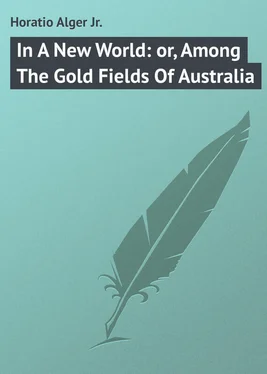 Horatio Alger In A New World: or, Among The Gold Fields Of Australia обложка книги