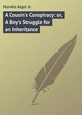 Horatio Alger A Cousin's Conspiracy: or, A Boy's Struggle for an Inheritance обложка книги