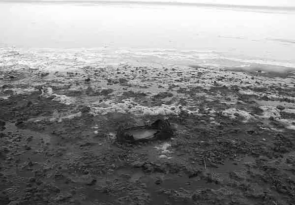 Сиваш Остатки фугаса из морской мины фотография автора Четные 2й и 4й - фото 11