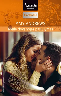 Amy Andrews Meilę dovanojęs pasiūlymas обложка книги