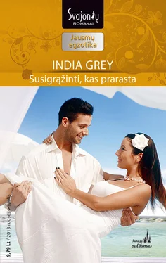 India Grey Susigrąžinti, kas prarasta обложка книги