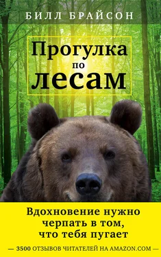 Билл Брайсон Прогулка по лесам обложка книги