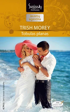 Trish Morey Tobulas planas обложка книги