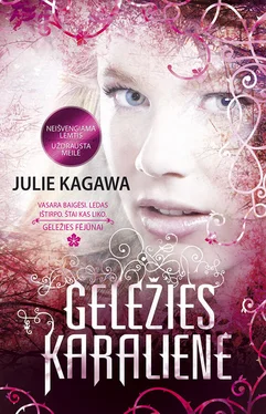 Julie Kagawa Geležies karalienė обложка книги