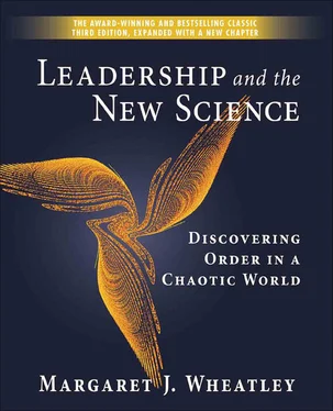 Margaret Wheatley Leadership and the New Science. Discovering Order in a Chaotic World обложка книги