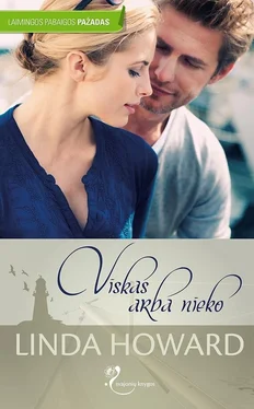 Linda Howard Viskas arba nieko обложка книги