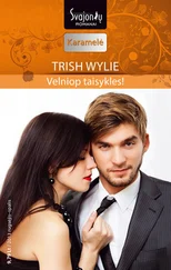 Trish Wylie - Velniop taisykles!