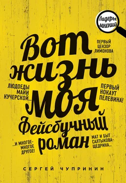 Сергей Чупринин Вот жизнь моя. Фейсбучный роман обложка книги