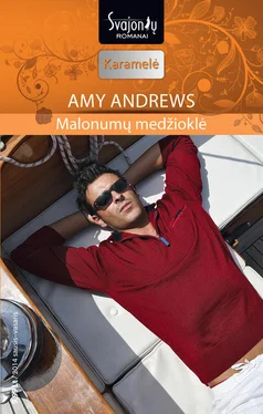 Amy Andrews Malonumų medžioklė обложка книги