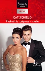 Cat Schield - Paskutinis statymas – meilė
