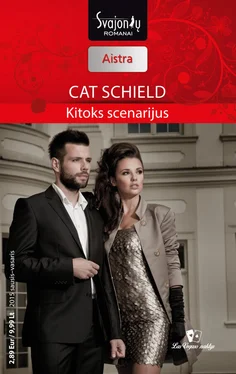 Cat Schield Kitoks scenarijus обложка книги