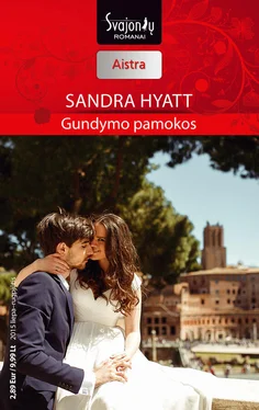 Sandra Hyatt Gundymo pamokos обложка книги