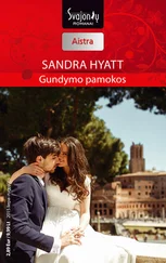 Sandra Hyatt - Gundymo pamokos