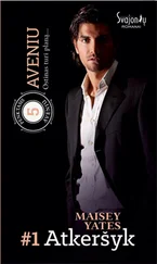 Maisey Yates - Atkeršyk