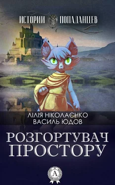 Лілія Ніколаєнко Розгортувач простору обложка книги