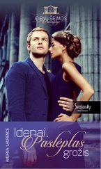 Andrea Laurence - Idenai. Paslėptas grožis