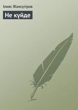 Ілияс Жансүгіров Не күйде обложка книги