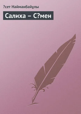 Əсет Найманбайұлы Салиха – Сəмен обложка книги