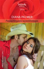 Diana Palmer - Paslaptingasis suvedžiotojas