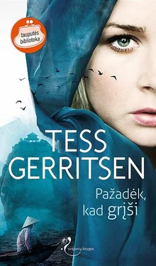 Tess Gerritsen Pažadėk, kad grįši обложка книги