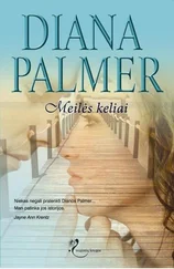 Diana Palmer - Meilės keliai
