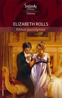 Elizabeth Rolls Kilnus pasiūlymas обложка книги