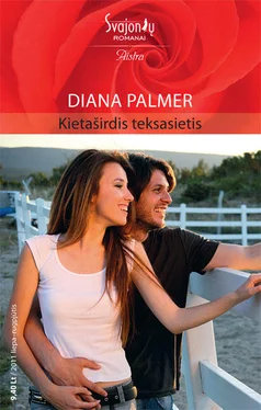 Diana Palmer Kietaširdis teksasietis обложка книги