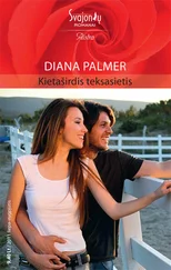 Diana Palmer - Kietaširdis teksasietis
