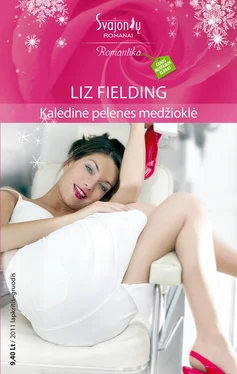 Liz Fielding Kalėdinė pelenės medžioklė обложка книги