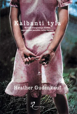 Heather Gudenkauf Kalbanti tyla обложка книги