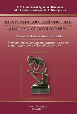 Иван Гайворонский Anatomy of bone system. The manual for medical students / Анатомия костной системы. Учебное пособие для медицинских вузов обложка книги