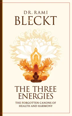 Rami Bleckt The Three Energies. The Forgotten Canons of Health and Harmony обложка книги