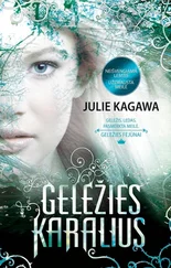 Julie Kagawa - Geležies karalius