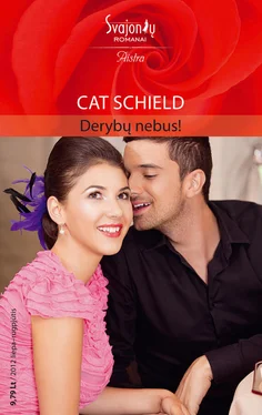 Cat Schield Derybų nebus! обложка книги
