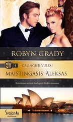 Robyn Grady - Maištingasis Aleksas