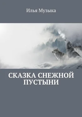 Илья Музыка Сказка снежной пустыни обложка книги